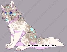 Pet