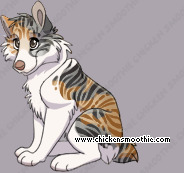 Pet