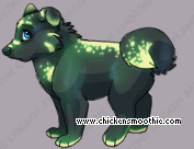 Pet