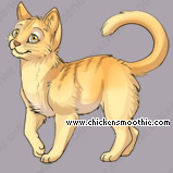 Pet