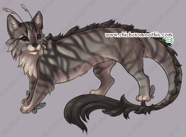 Pet