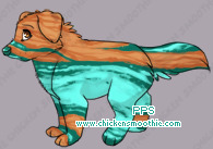 Pet