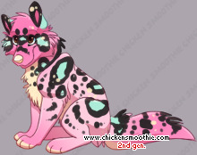 Pet