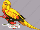 Pet