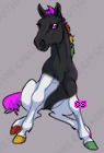 Pet