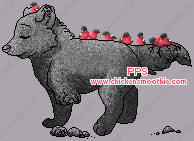 Pet