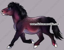 Pet