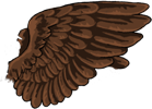 Brown Gryphon Wings