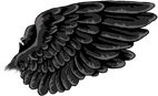 Black Gryphon Wings