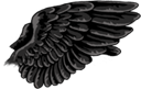 Black Gryphon Wings