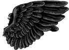 Black Gryphon Wings