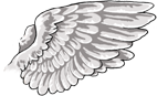 White Gryphon Wings