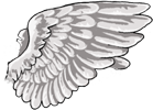 White Gryphon Wings