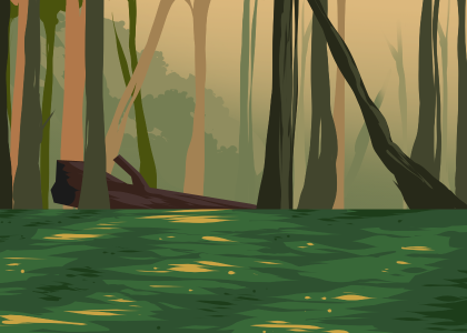 Forest Swamp