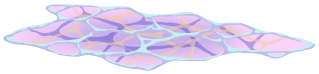 Water Surface