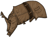Brown Trenchcoat 
