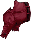 Burgundy Jacket