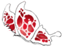 White/Red Butterfly Wing