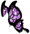 Black/Purple Butterfly Wings