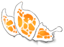 White/Orange Butterfly Wings