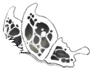 White/Obsidian Butterfly Wings