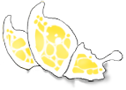 White/Yellow Butterfly Wings