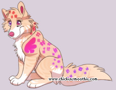 Pet