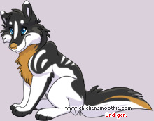 Pet