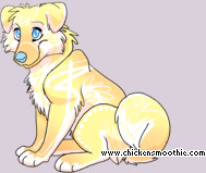 Pet