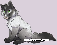 Pet
