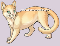 Pet
