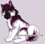 Pet