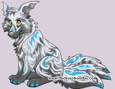 Pet