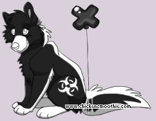 Pet