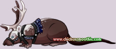 Pet