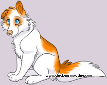 Pet
