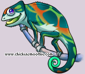 Pet