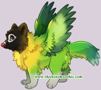 Pet