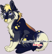 Pet