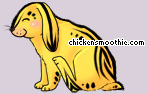 Pet