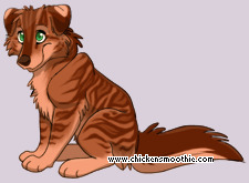 Pet