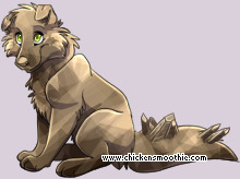 Pet