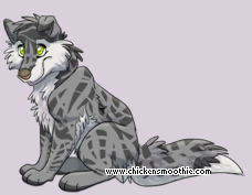 Pet