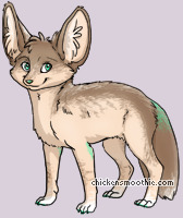 Pet
