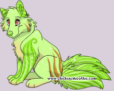 Pet