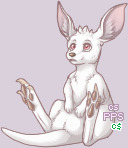 Pet
