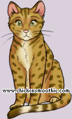 Pet