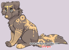 Pet