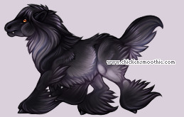 Pet