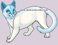 Pet